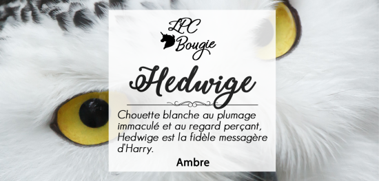 Etiquettes pour bougies